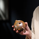 Xi Shi 190cc - Yixing Handmade Teapot - zycs_China