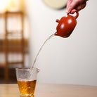 Xi Shi 200cc - Yixing Handmade Teapot - zycs_China