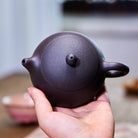 Xi Shi 210cc - Yixing Handmade Teapot - zycs_China