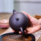 Xi Shi 210cc - Yixing Handmade Teapot - zycs_China
