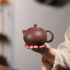 Xi Shi 210cc - Yixing Handmade Teapot - zycs_China