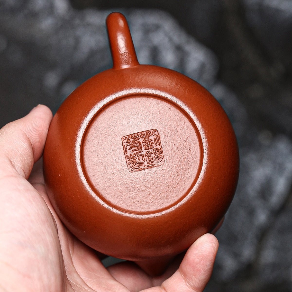 Xi Shi 210cc - Yixing Handmade Teapot - zycs_China