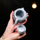 Xi Shi 220cc - Yixing Handmade Teapot - zycs_China
