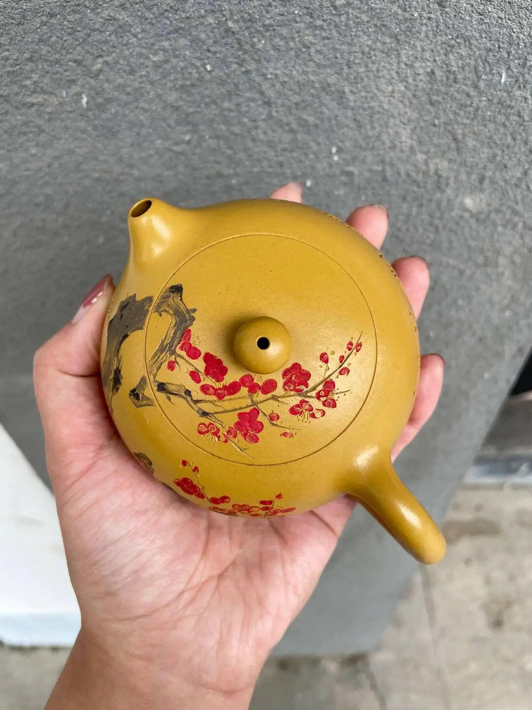 Xi Shi 230cc - Yixing Handmade Teapot - zycs_China
