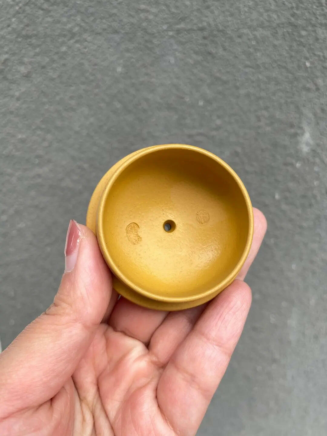 Xi Shi 230cc - Yixing Handmade Teapot - zycs_China