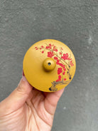 Xi Shi 230cc - Yixing Handmade Teapot - zycs_China