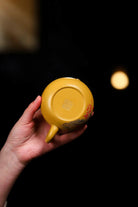 Xi Shi 230cc - Yixing Handmade Teapot - zycs_China