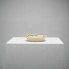 Xian Rui - Dry Bubble Tray - zycs_China