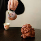 Xiang Shi - Tea Pet - zycs_China - tea - teapot