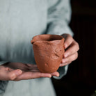 Xiang Yun 180cc - Fair Cup - zycs_China