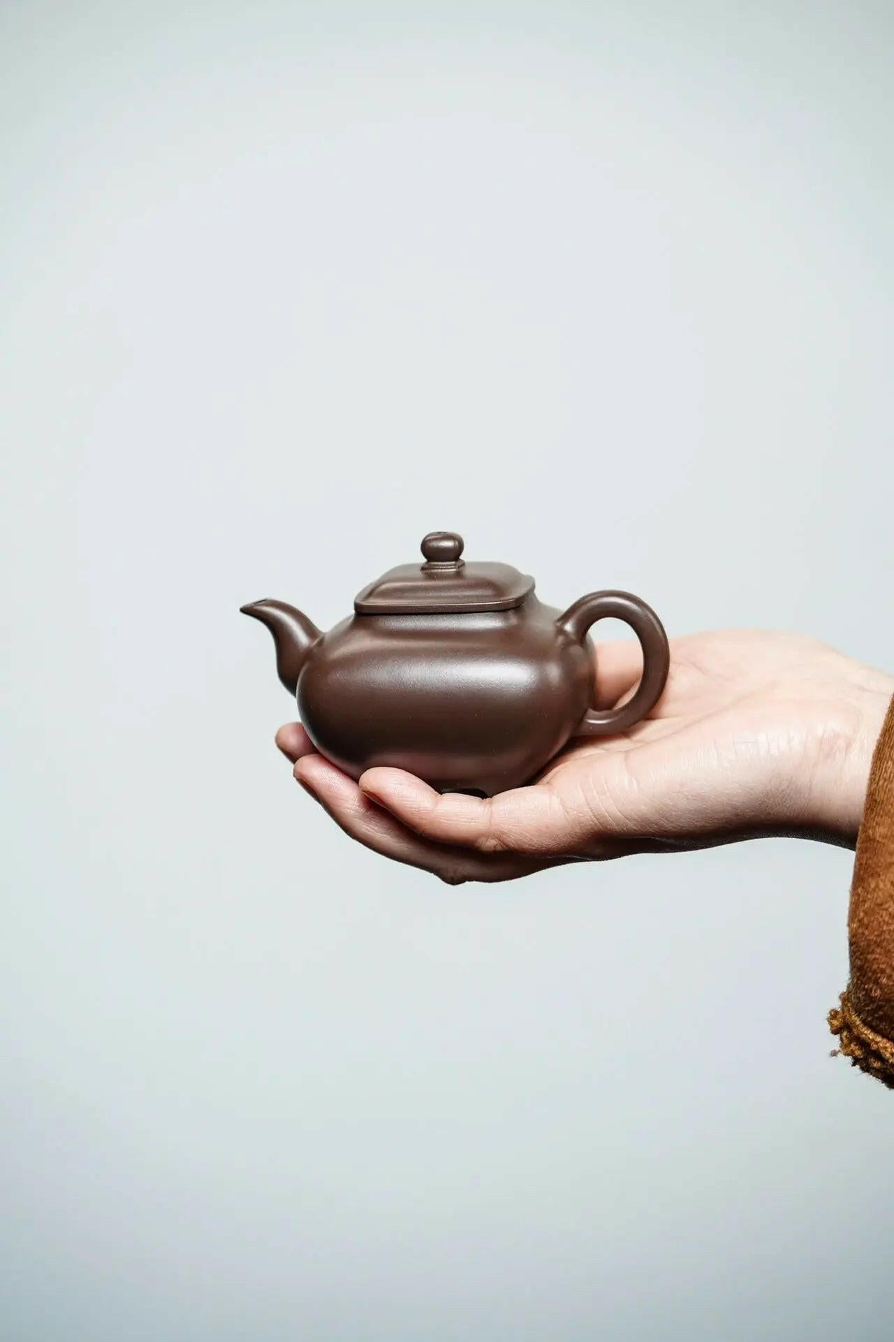Xiao Chuan Lu 150cc - Yixing Handmade Teapot - zycs_China