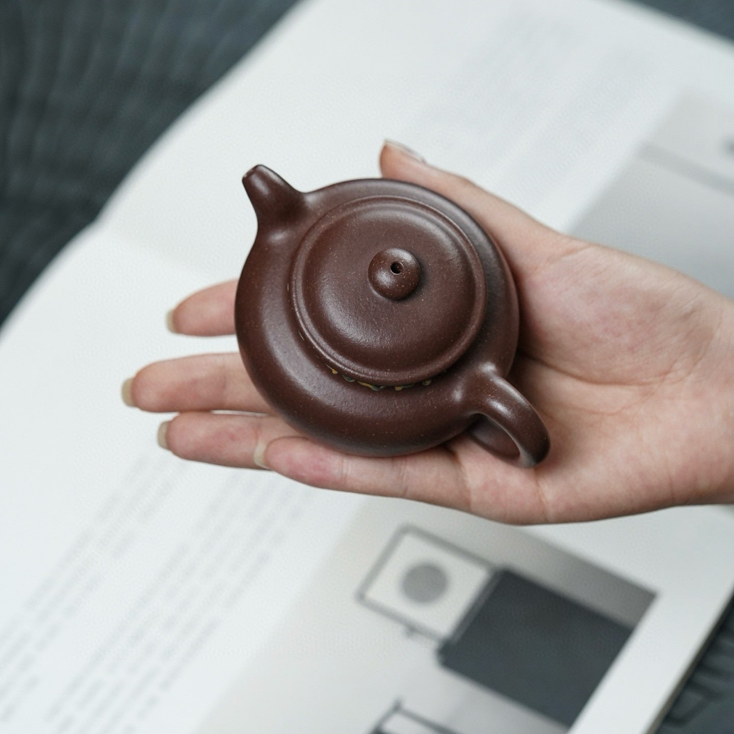 Xiao Duo Zhi 120cc - Yixing Handmade Teapot - zycs_China