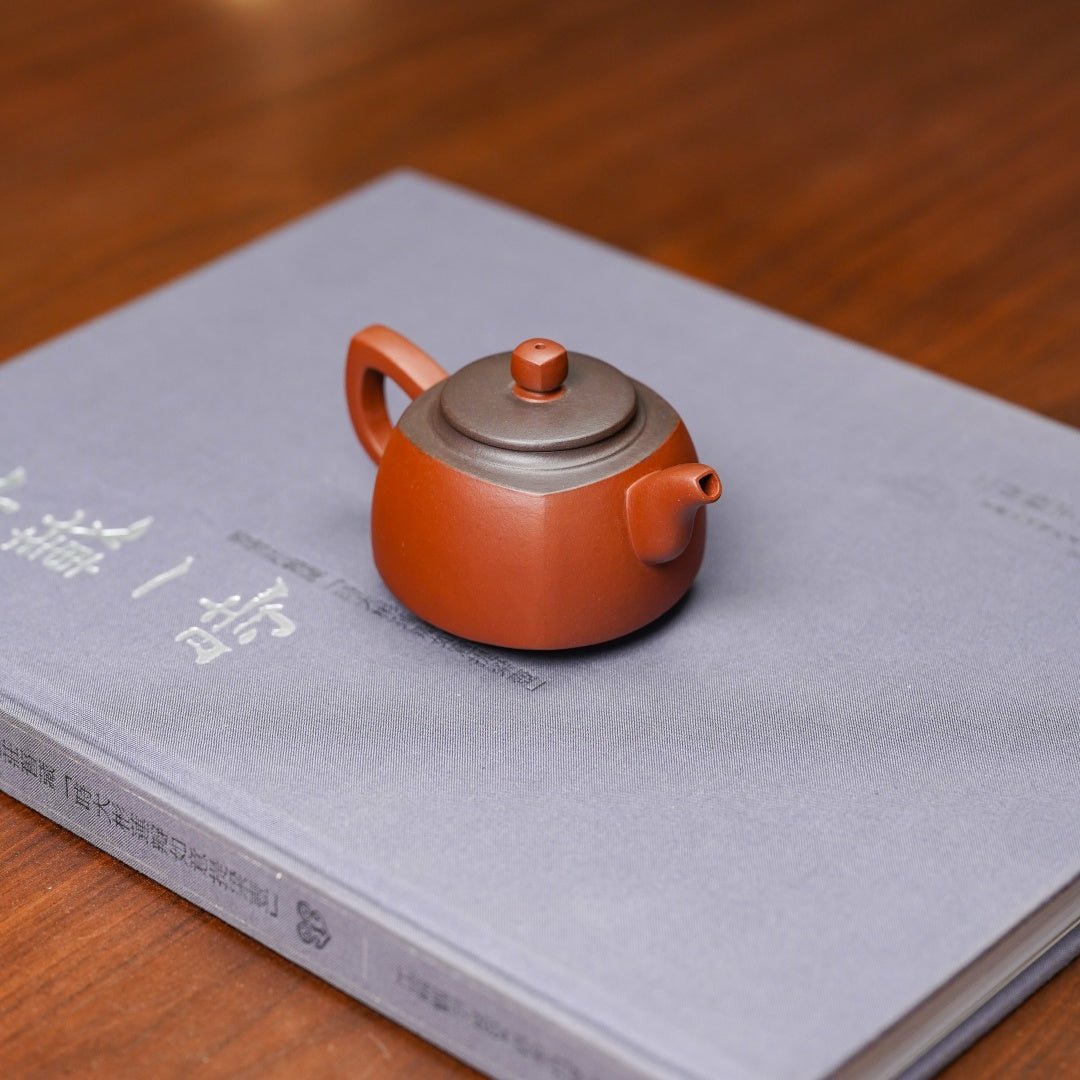 Xiao Fnag Yuan 100cc - Yixing Handmade Teapot - zycs_China