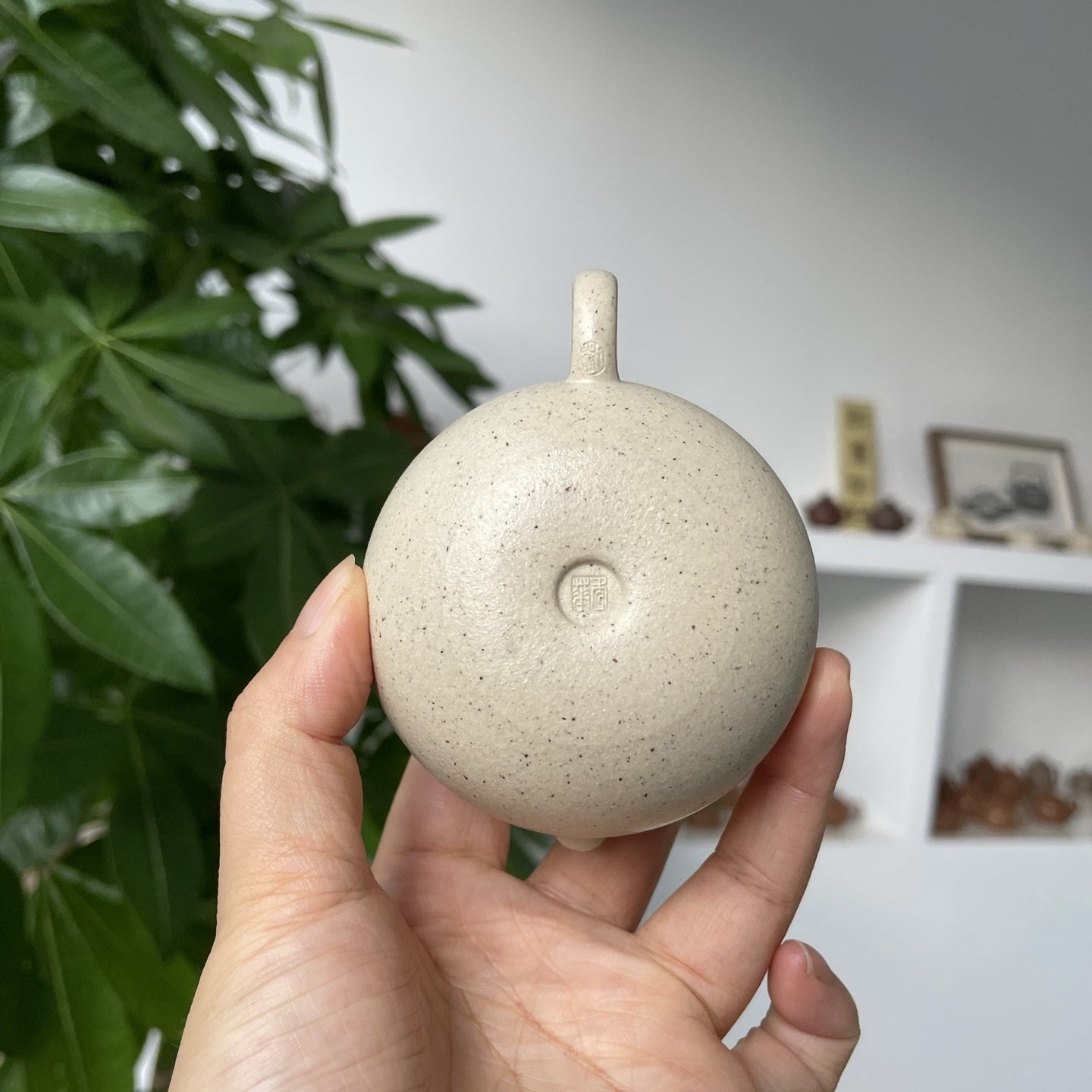 Xiao Fu Dai 100cc - Yixing Handmade Teapot - zycs_China