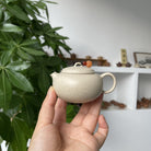 Xiao Fu Dai 100cc - Yixing Handmade Teapot - zycs_China