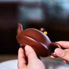 Xiao Jin Zhong 150cc - Yixing Handmade Teapot - zycs_China