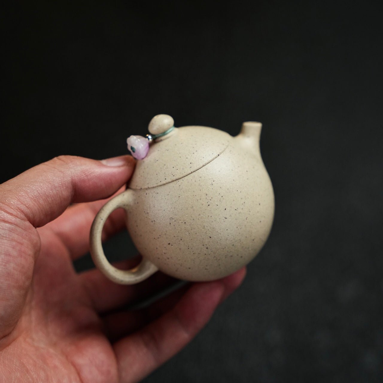 Xiao Long Dan 100cc - Yixing Handmade Teapot - zycs_China