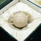 Xiao Long Dan 100cc - Yixing Handmade Teapot - zycs_China