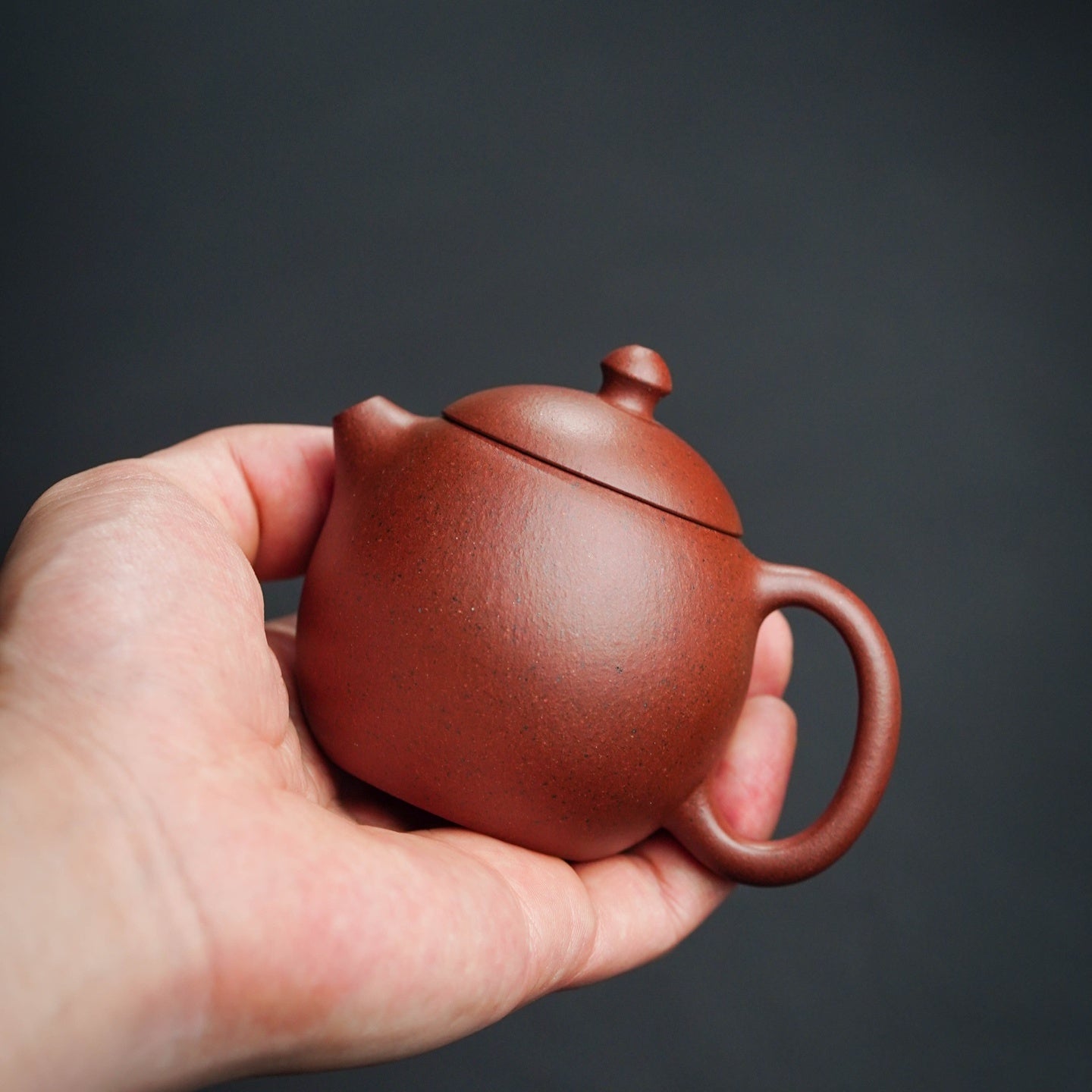 Xiao Long Dan 120cc - Yixing Handmade Teapot - zycs_China