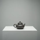 Xiao Rong Tian 130cc - Yixing Handmade Teapot - zycs_China