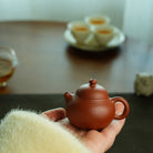Xiao Wen Dan 50cc - Yixing Handmade Teapot 江苏宜兴