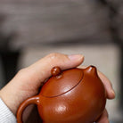 Xiao Xiao Xi Shi 100cc - Yixing Handmade Teapot - zycs_China