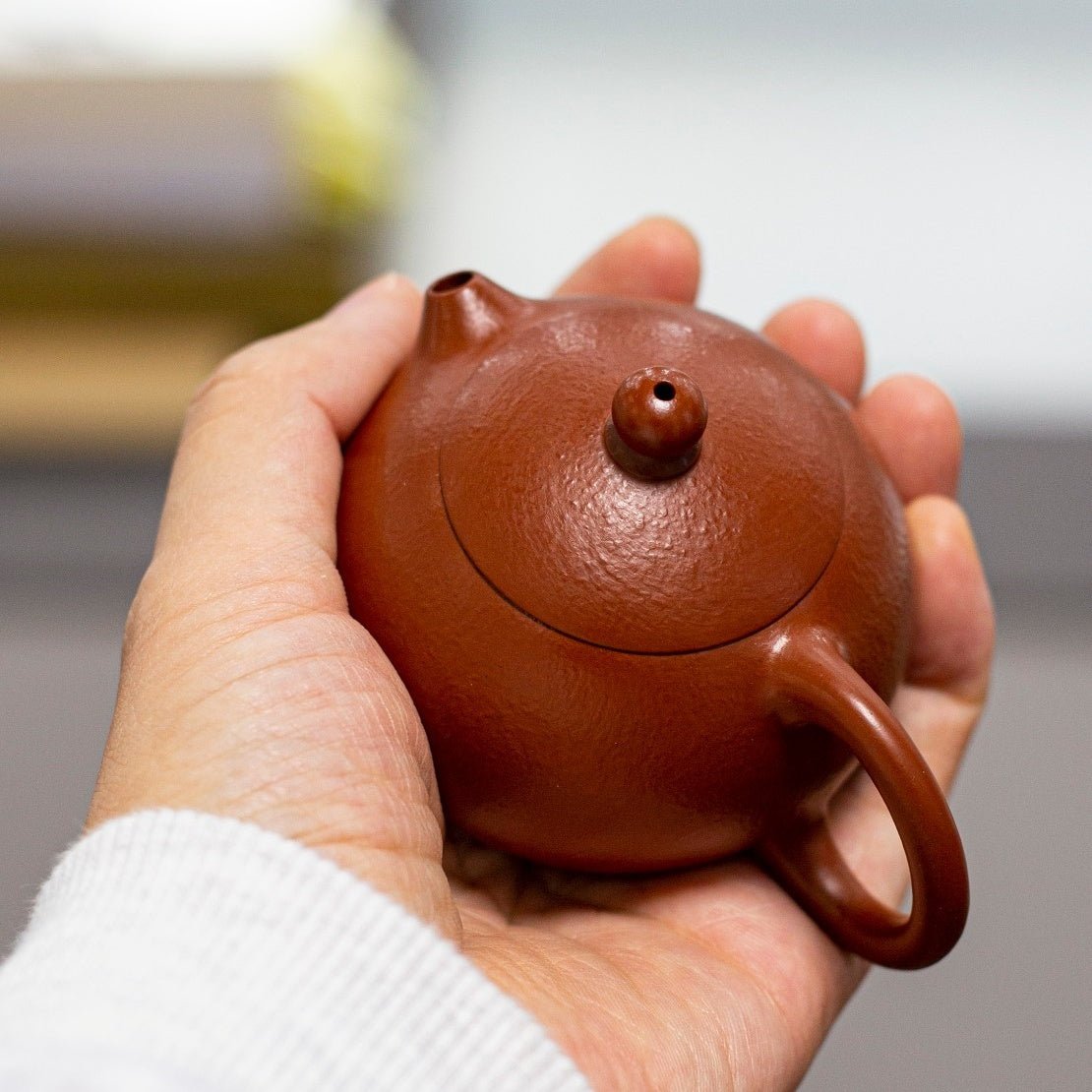 Xiao Xiao Xi Shi 100cc - Yixing Handmade Teapot - zycs_China