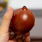 Xiao Xiao Xi Shi 100cc - Yixing Handmade Teapot - zycs_China