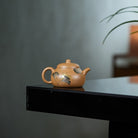 Xiao Xing Yun 120cc - Yixing Handmade Teapot - zycs_China