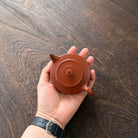 Xiao Zhou Pan 100cc - Yixing Handmade Teapot - zycs_China - tea - teapot
