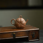 Xiu Yu Nan Gua 100cc - Yixing Handmade Teapot - zycs_China
