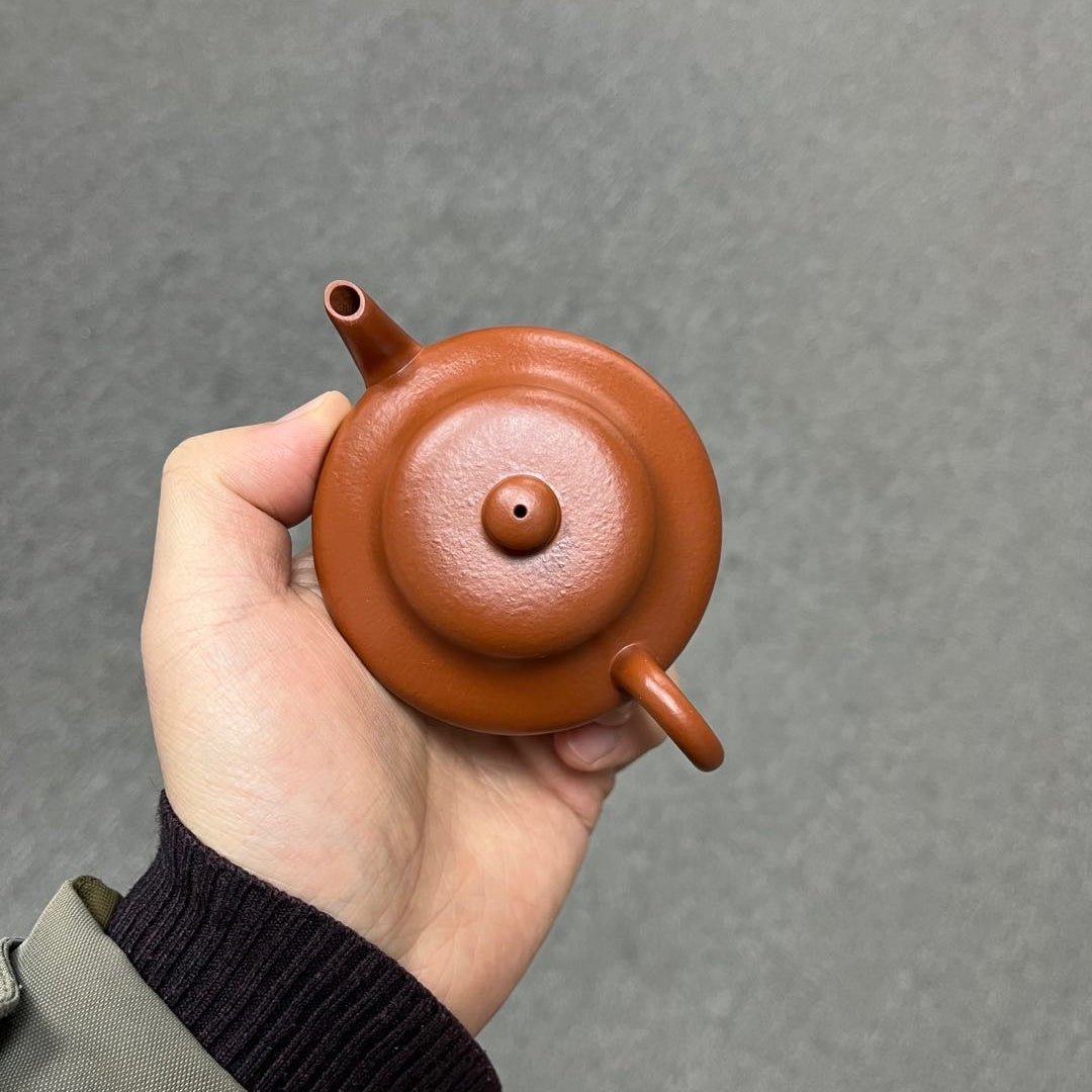 Xu Bian 110cc - Yixing Handmade Teapot zycschina