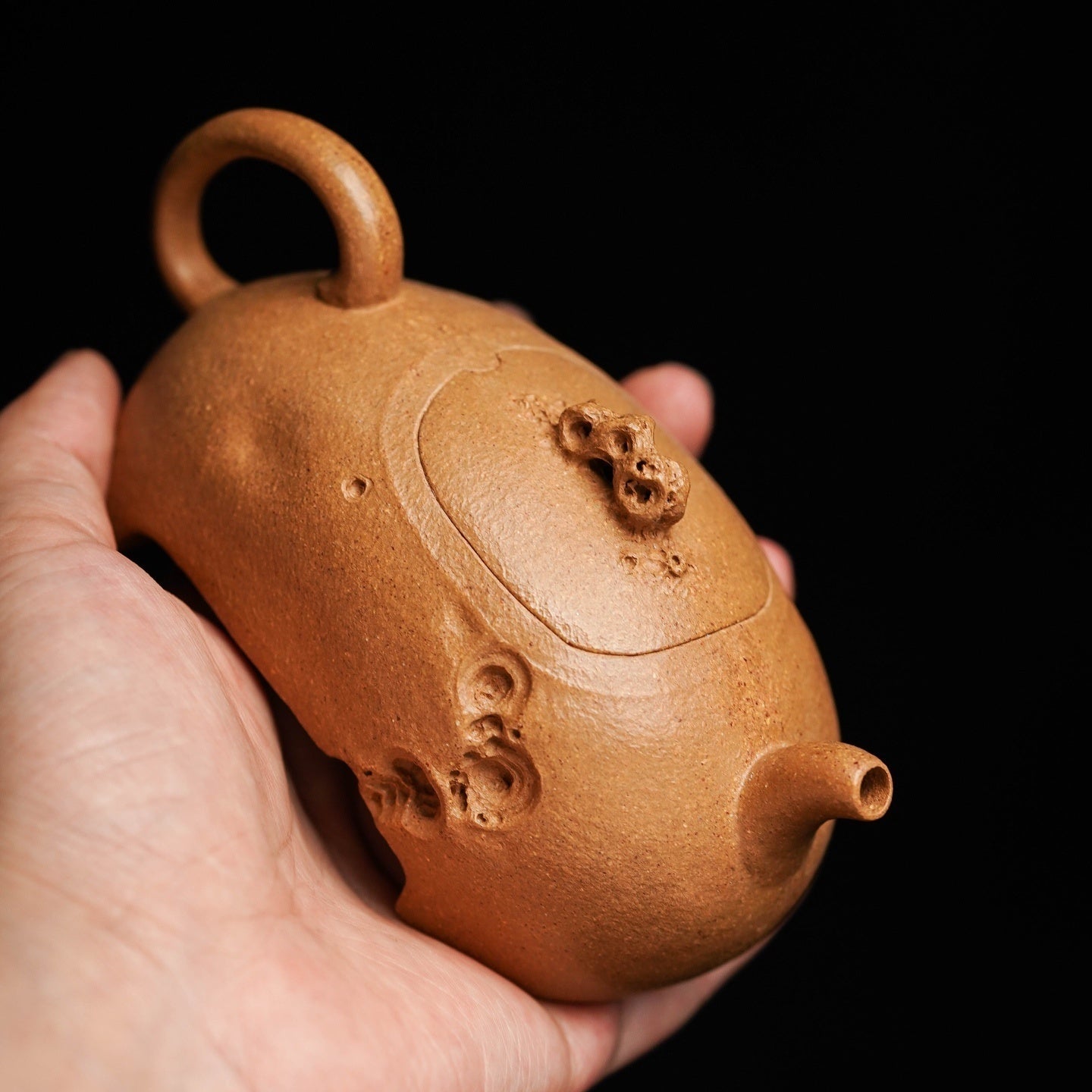 Ya Shi 130cc - Yixing Handmade Teapot 江苏宜兴