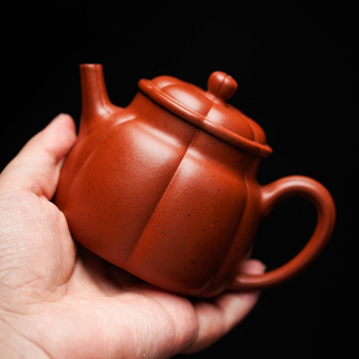 Yan Xin 150cc - Yixing Handmade Teapot - zycs_China - tea - teapot