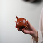 Yi Li Zhu 150cc - Yixing Handmade Teapot - zycs_China - tea - teapot