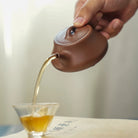 Yi Piao 175cc - Yixing Handmade Teapot - zycs_China