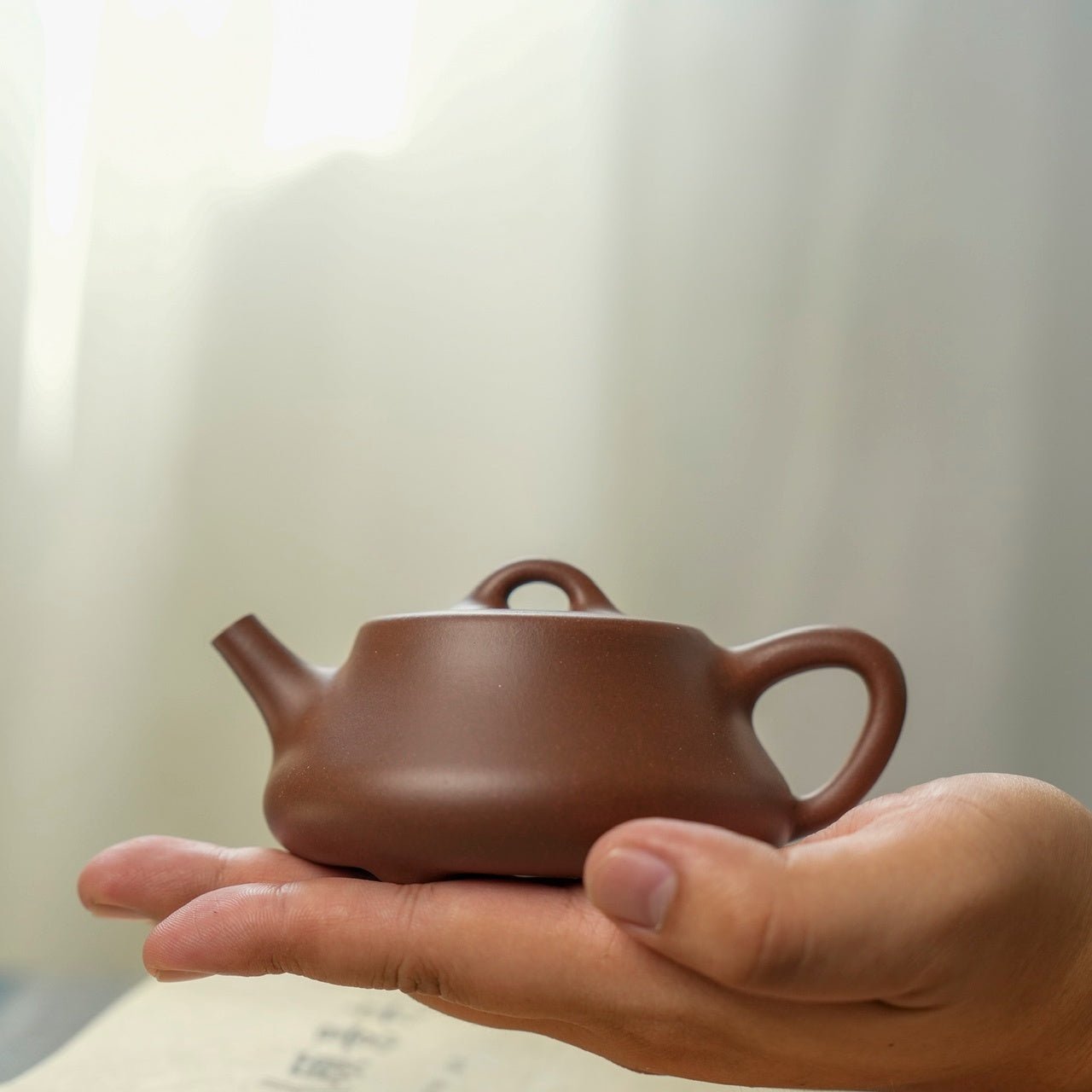Yi Piao 175cc - Yixing Handmade Teapot - zycs_China
