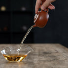 Yi Ri Jian Xi 100cc - Yixing Handmade Teapot - zycs_China