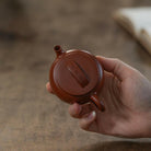 Yi Ri Jian Xi 100cc - Yixing Handmade Teapot - zycs_China