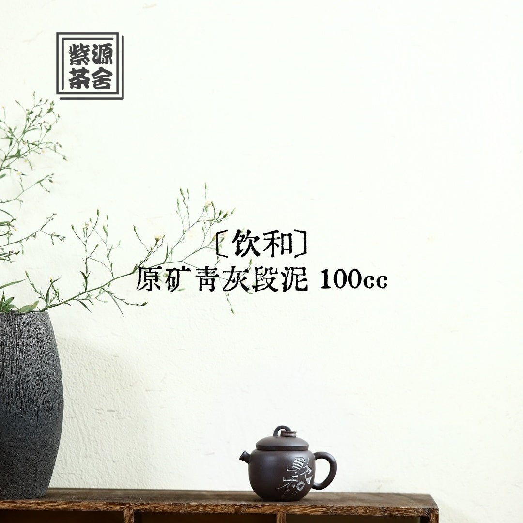Yin He 100cc - Yixing Handmade Teapot - zycs_China
