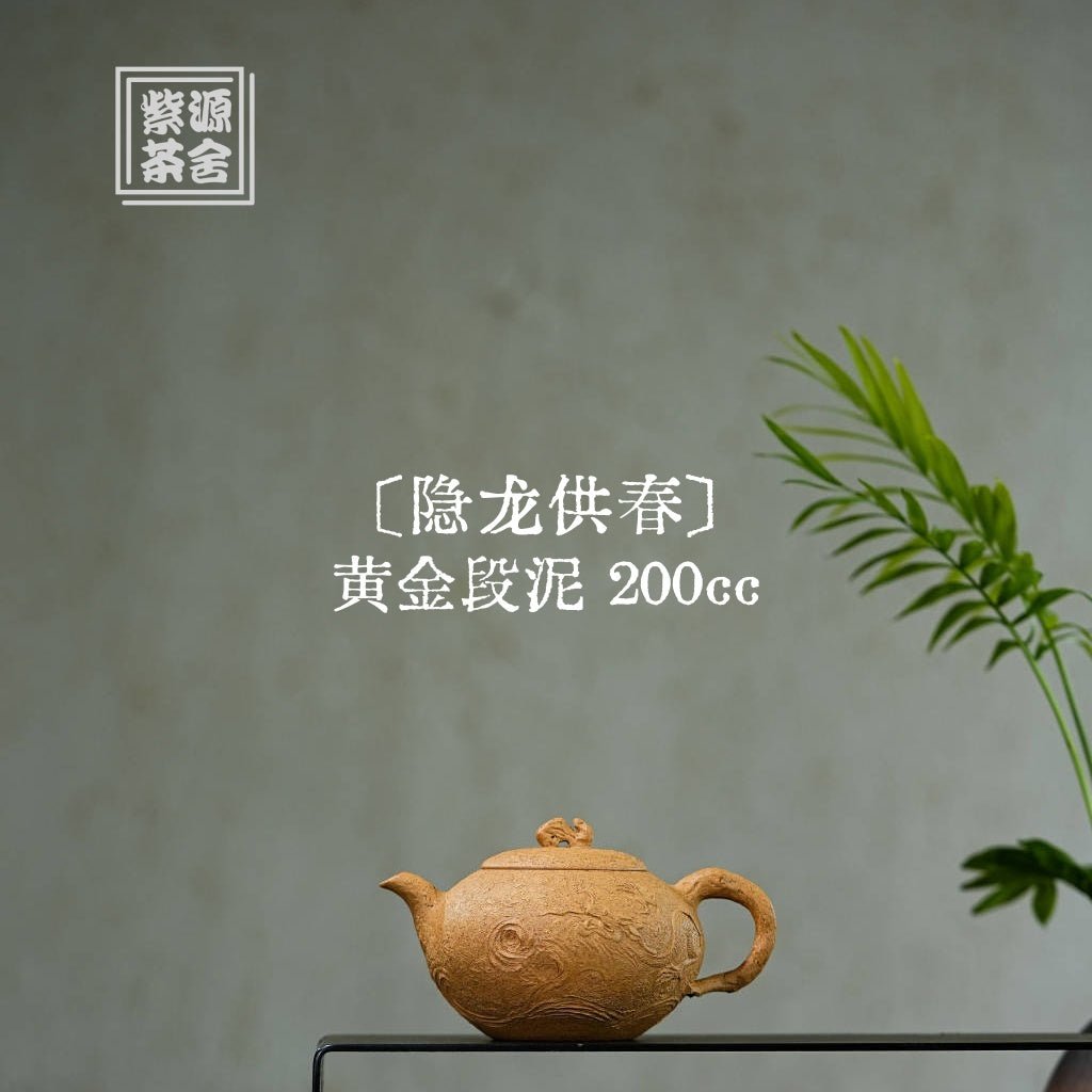 Yin Long Gong Chun 200cc - Yixing Handmade Teapot - zycs_China