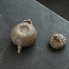 Yin Long Gong Chun 200cc - Yixing Handmade Teapot - zycs_China