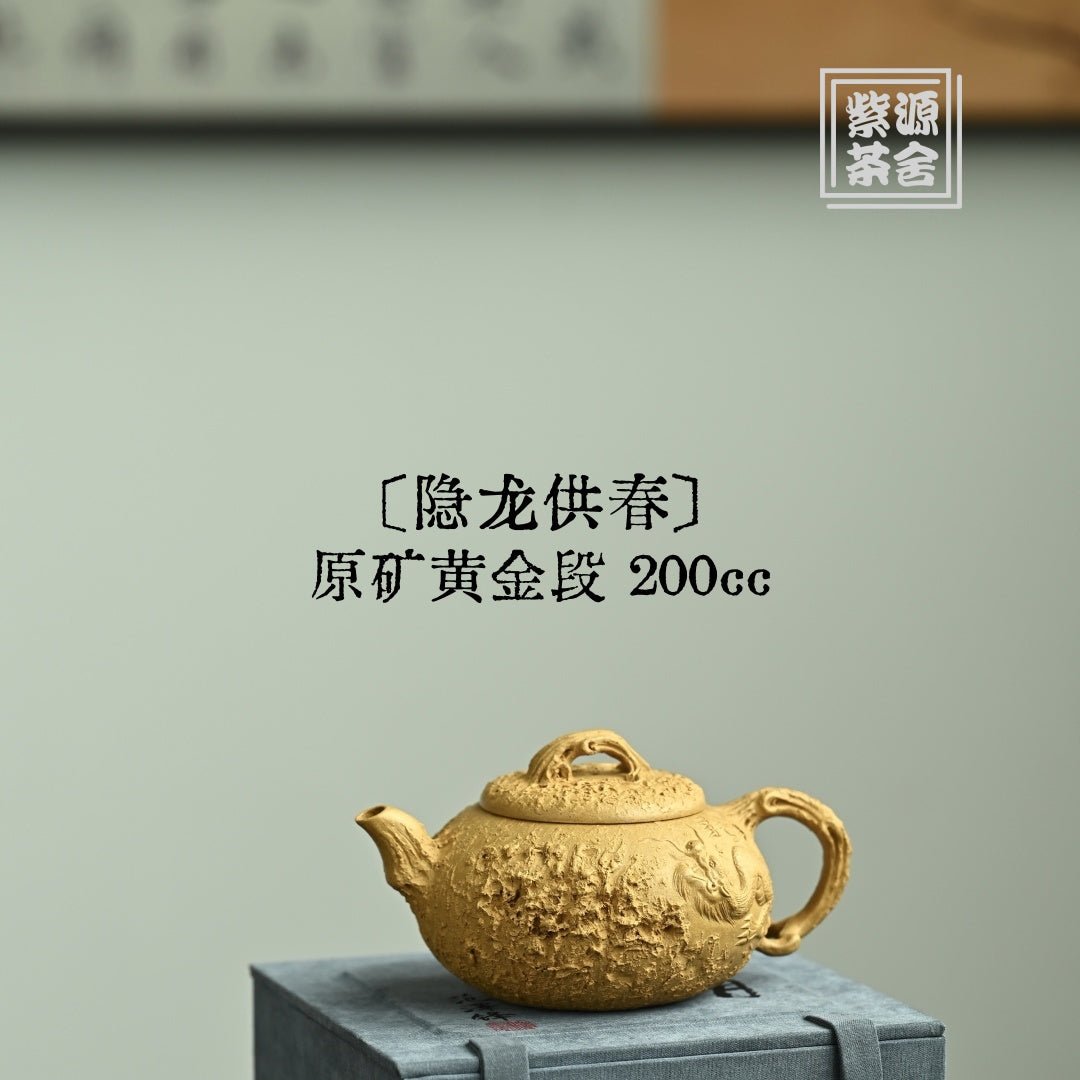 Yin Long Gong Chun 200cc - Yixing Handmade Teapot - zycs_China