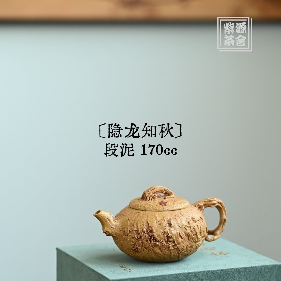 Yin Long Zhi Qiu 170cc - Yixing Handmade Teapot - zycs_China - tea - teapot