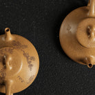 Yin Piao 120cc - Yixing Handmade Teapot - zycs_China