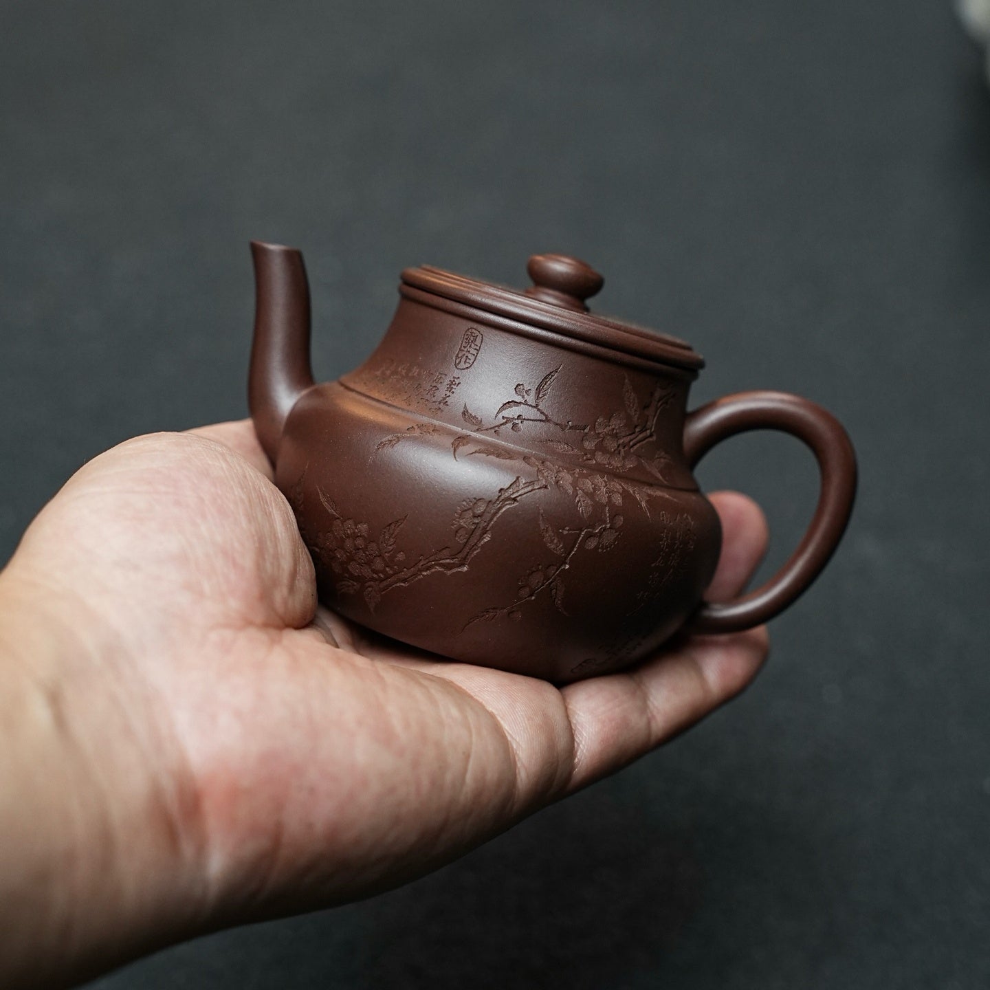 Yin Yue 160cc - Yixing Handmade Teapot - zycs_China