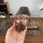 Yong Le 90cc - Yixing Handmade Teapot - zycs_China