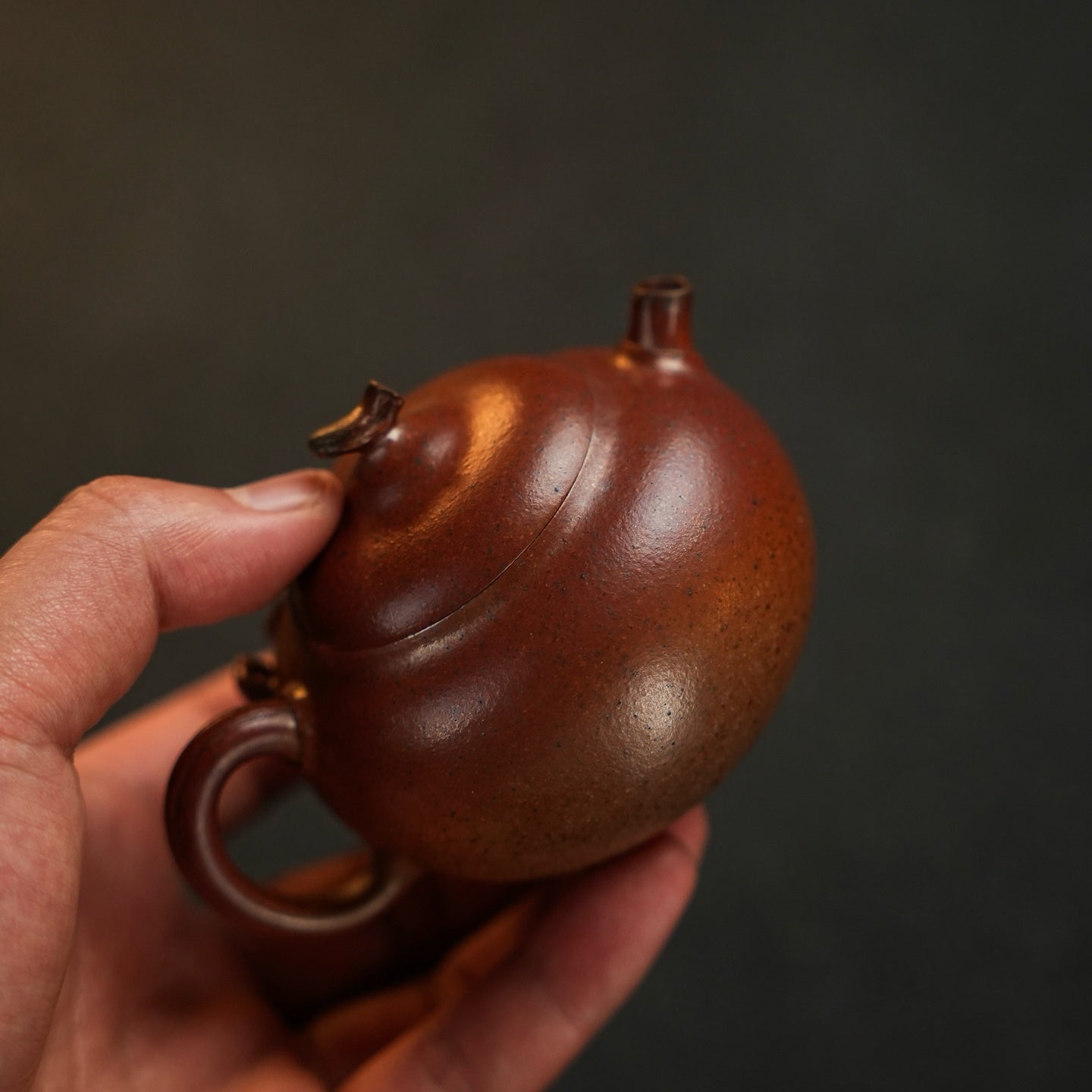 Yong Nian Fu Lu 150cc - Yixing Handmade Teapot - zycs_China