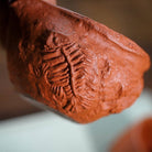 Yu Hua Shi - Fair Cup - zycs_China