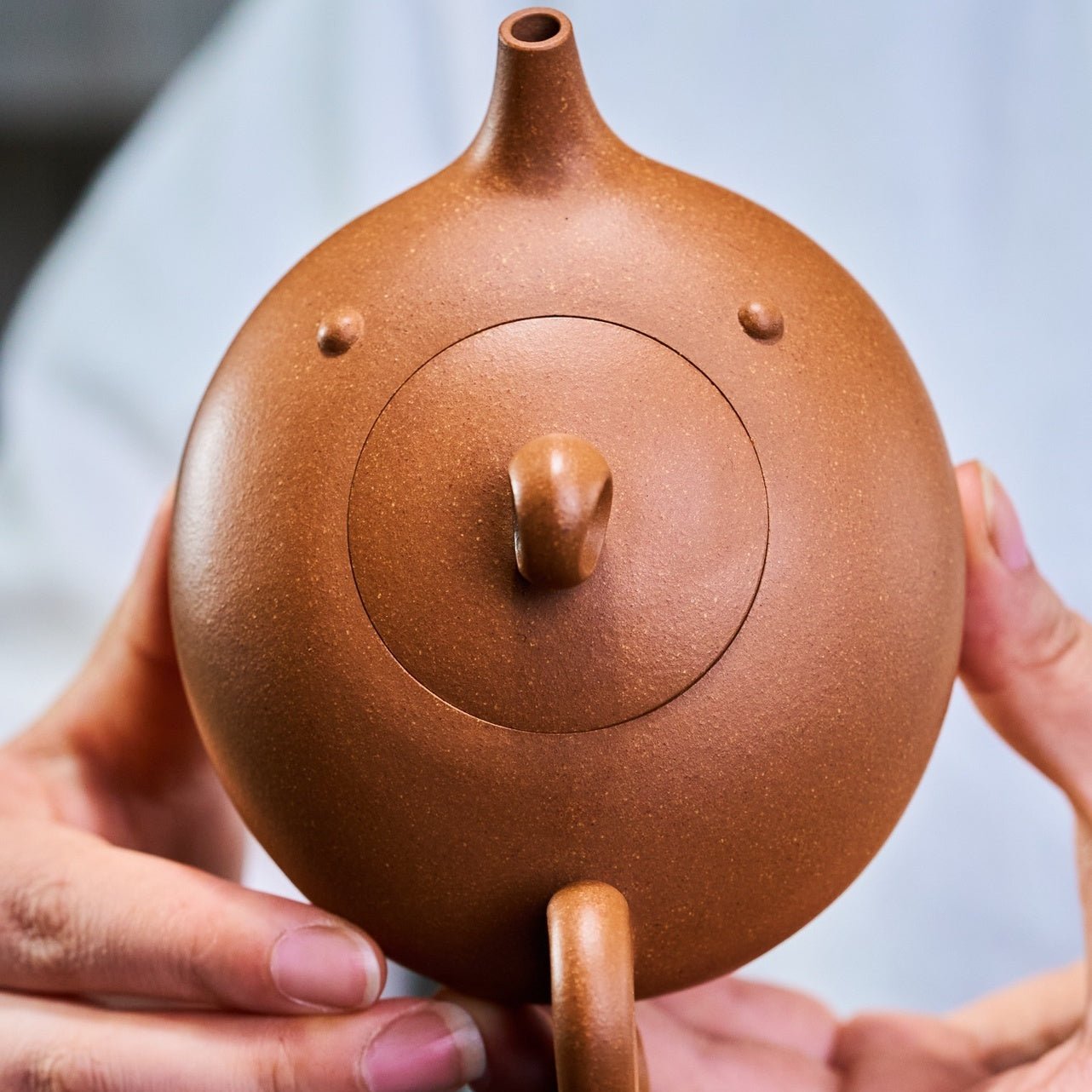 Yu Le 220cc - Yixing Handmade Teapot - zycs_China
